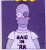 Haig-in-88.gif