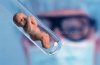 test tube baby.jpg
