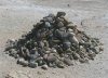 rocks.jpg