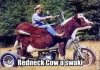 Cow bike.jpg