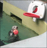 BlazerPoolDunk.gif