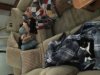 fam sleeping.jpg
