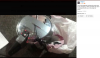 Screen Shot 2016-09-19 at 12.03.13 PM.png
