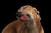 upload_2025-4-6_16-26-39.jpeg