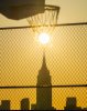 IMG_8974.jpeg
