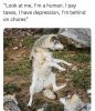 IMG_4545.jpeg
