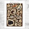 burrowinganimals18x24.jpg