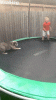 upload_2025-9-4_16-39-21.gif