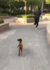 upload_2025-9-18_17-27-19.png