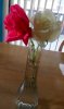 IMG_20250929_083909~2.jpg