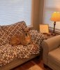 IMG_3867.jpeg