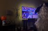 IMG_4263.jpeg