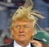 combover.jpg