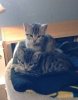 sundance & cassidy.jpg
