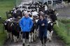 dairy farmer.jpg