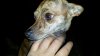 20140517_193438.jpg