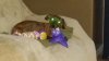 20131222_165744.jpg