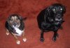 DSCN2731.JPG