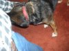 DSCN2734.JPG