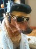 upload_2016-12-8_7-12-57.jpeg