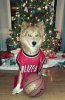 20161219_203104_Film3 (5).jpg