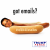 dikileaks.png