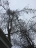 IMG_0562.JPG