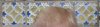upload_2017-1-19_8-45-27.png