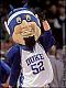 NOVAHooPs