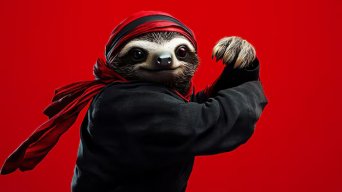 Sloth