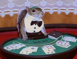 SlyPokeHerSquirrel