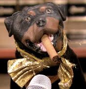 SlyComedianDog