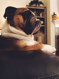Franckly Speaking