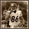 Ohio Steeler