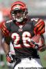 Cincinnati Lions