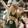 Swift The Swatter