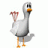 ilikechikin
