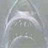 Carcharias