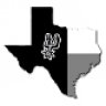 Spursfanatic