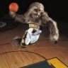 LiveAtTheHardwood