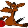 SlyPokerDonkey