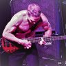 BassPlaya