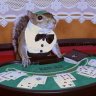 SlyPokeHerSquirrel