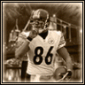 Ohio Steeler