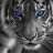 BzTiger