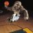 LiveAtTheHardwood