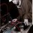djpuma