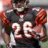 Cincinnati Lions