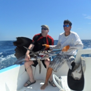 Sailfish